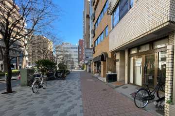 敷地の北側前面道路（西側から）