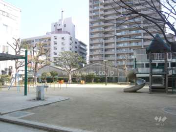 目の前に公園があります