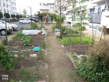 家庭菜園
