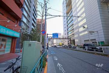 敷地南側の前面道路　