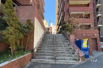 敷地北側の前面道路