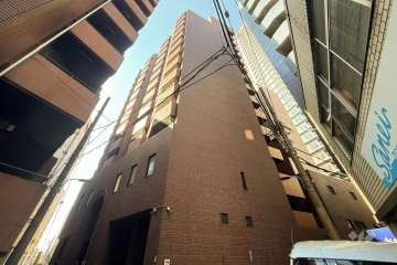 パレエテルネルの外観（北東側から）