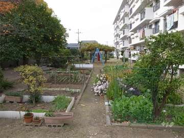 六号棟の南側にある家庭菜園と公園