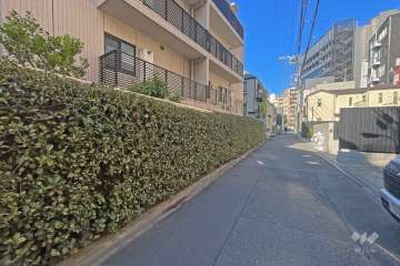 敷地北側の前面道路（東側から）