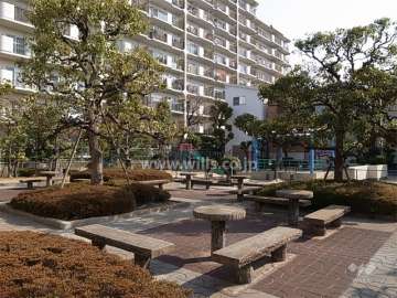 敷地南側にある広場、公園。