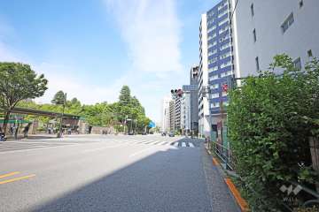 敷地北側の前面道路（西側から）