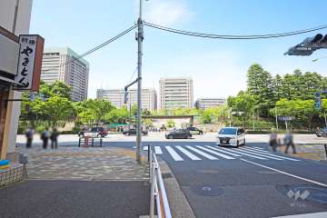 敷地東側の前面道路（南側から）