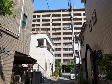 敷地の南側には一戸建てが中心に立ち並んでいます。