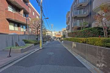 敷地の西側前面道路（南側から）