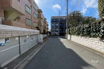 敷地西側の前面道路（北側から）