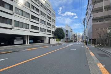 敷地の西側前面道路（北側から）