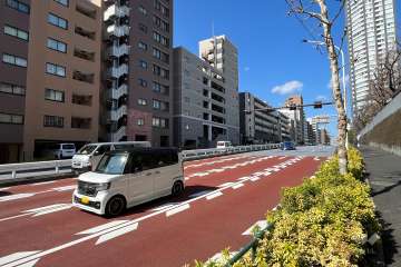 敷地の東側前面道路（南側から）