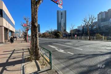 敷地の南東側前面道路は外堀通りです（南西側から）。