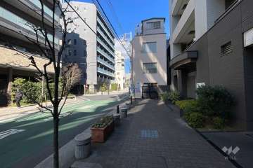 敷地の西側前面道路（北側から）