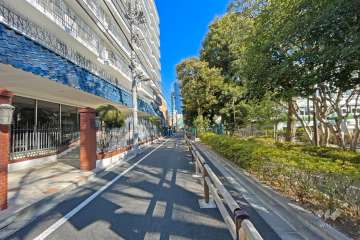 敷地東側の前面道路（南側から）