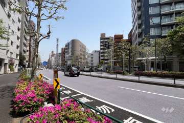 敷地西側の前面道路（南側から）