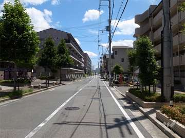敷地北側の前面道路。周辺は区画の整った住宅地です。