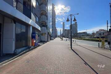 敷地の西側前面道路（北側から）