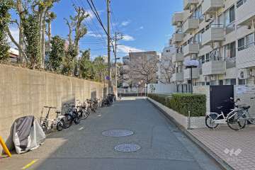 敷地の北側前面道路（西側から）