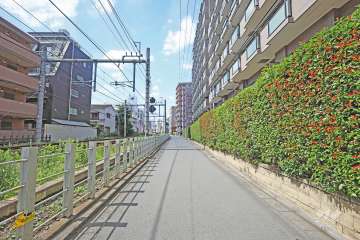 敷地南側の前面道路（東側から）