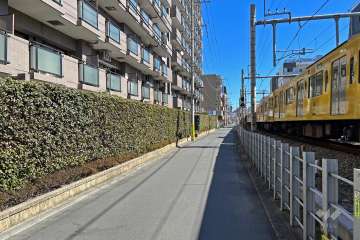 敷地南側の前面道路（西側から）