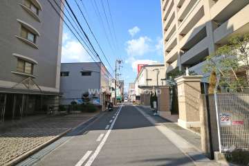 敷地南側の前面道路(東側から)