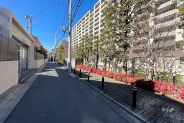 敷地南側の前面道路