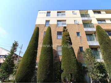 東側のファザード