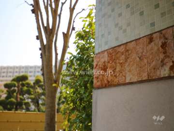 外壁には天然石とモザイクタイルが用いられています。