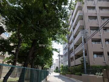 敷地の東側前面道路。道を挟んで向かい側は浜小学校です。