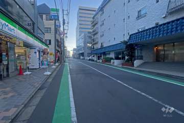 敷地北側の前面道路（西側から）