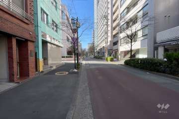 敷地南側の前面道路　