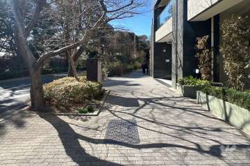 敷地南側の前面道路