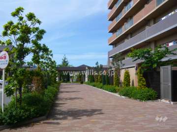 植栽に囲まれたエントランスアプローチ