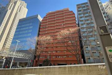 西新宿ダイヤモンドパレスの外観（南西側から）