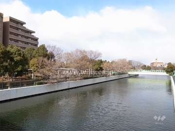 敷地のすぐ東側を流れる蓬川