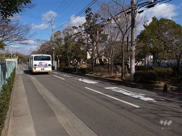 敷地の東側前面道路は、バス通りです。