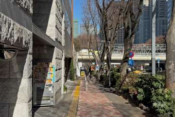 敷地東側の前面道路（南側から）