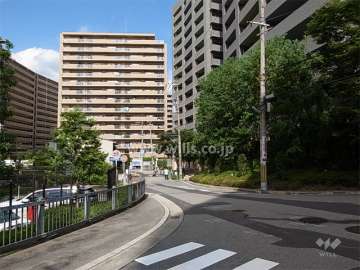 敷地南側の前面道路。