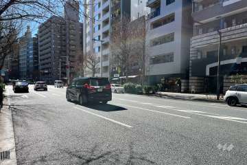 敷地の東側前面道路（北側から）