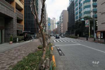 敷地の南側の前面道路（西側から）