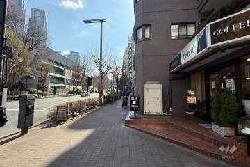 敷地の東側前面道路（北側から）