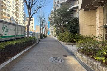 敷地北側の前面道路