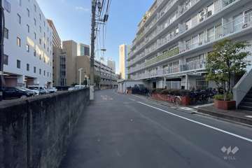 敷地の東側前面道路（北側から）