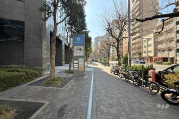 敷地の西側前面道路（北側から）