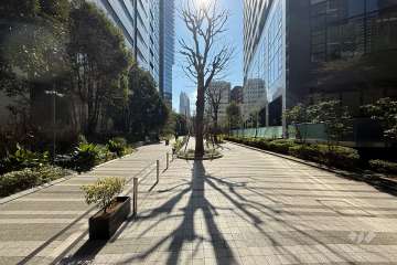 敷地の東側前面道路（北側から）