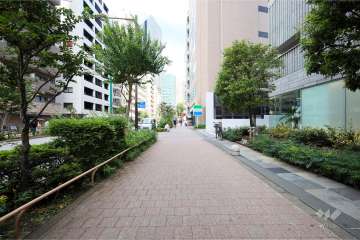 敷地北西側の前面道路（南西側から）