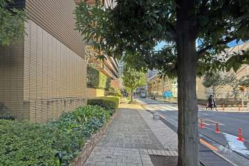 敷地の南西側前面道路（北西側から）