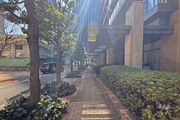 敷地の南東側前面道路（北東側から）