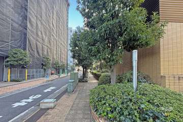 敷地の北西側前面道路（南西側から）